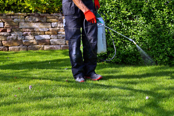 Lawn Pest Control in Bremen, OH